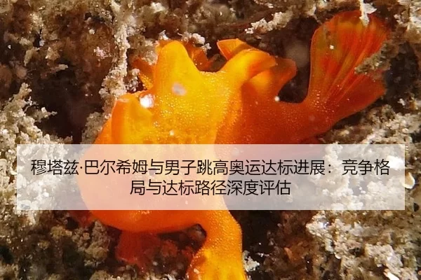 mu-ta-zi-ba-er-xi-mu-yu-nan-zi-tiao-gao-ao-yun-da-biao-jin-zhan-jing-zheng-ge-ju-yu-da-biao-lu-jing-shen-du-ping-gu-2-754.jpg