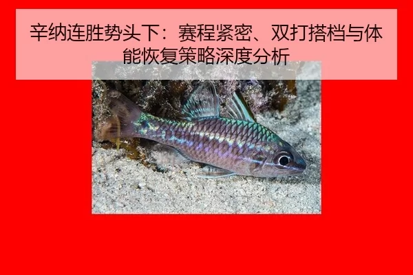 xin-na-lian-sheng-shi-tou-xia-sai-cheng-jin-mi-shuang-da-da-dang-yu-ti-neng-hui-fu-ce-lve-shen-du-fen-xi-2-121.jpg